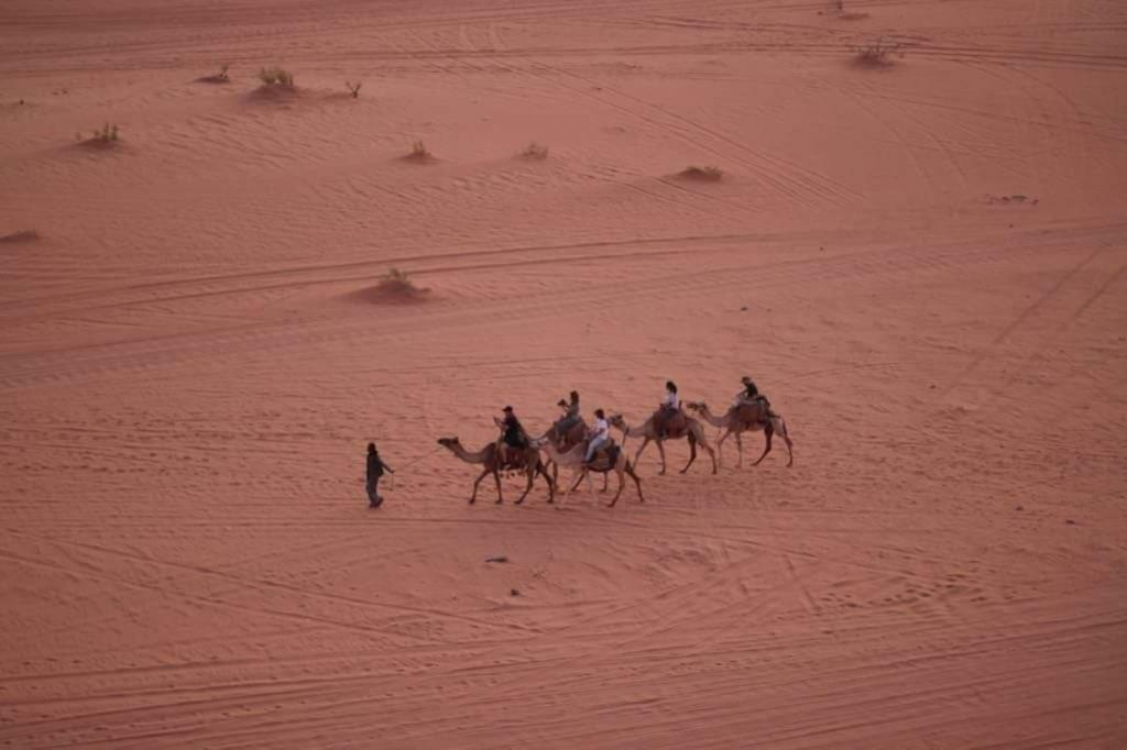 Wadi Rum-Bedouin Tents And Jeep Tours Luaran gambar